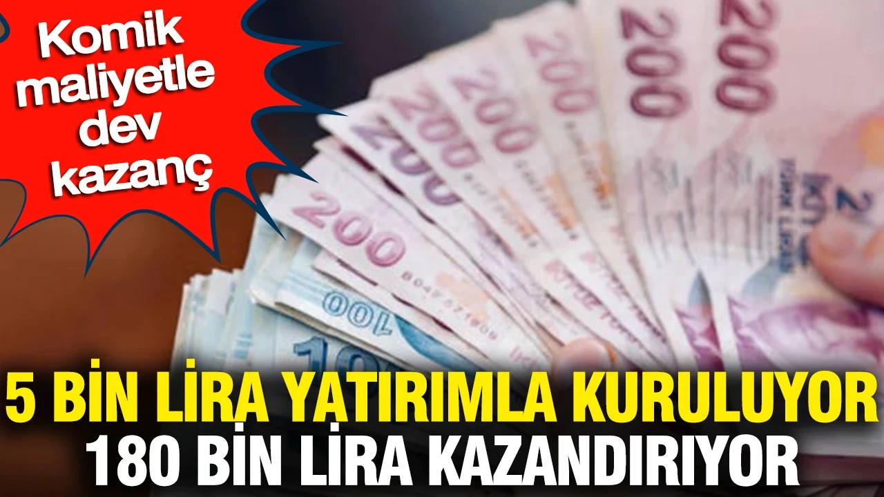5 bin lira yatırımla kuruluyor 180 bin lira kazandırıyor: Komik maliyetle dev kazanç
