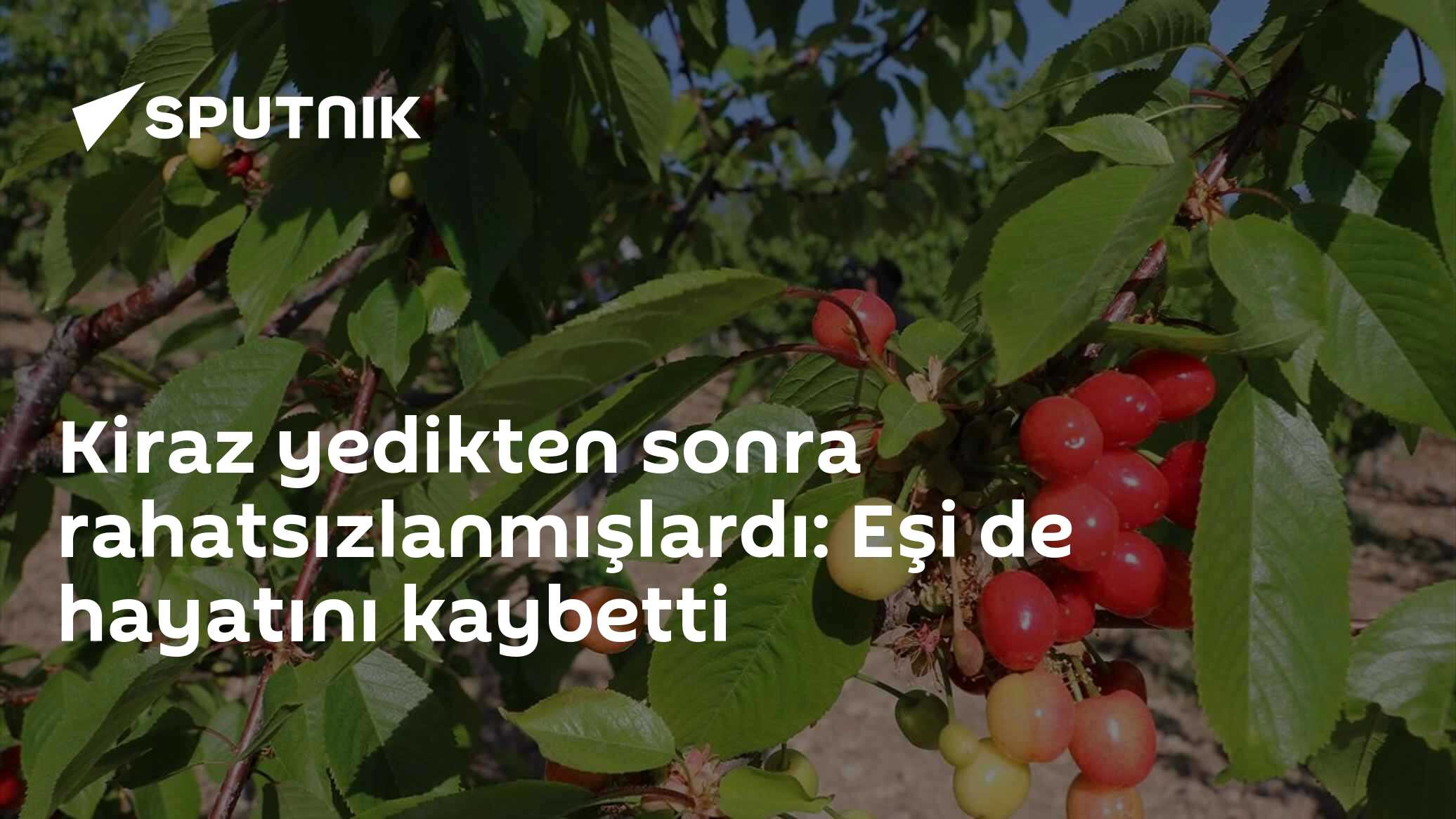 Kiraz yedikten sonra rahatsızlanmışlardı: Eşi de hayatını kaybetti