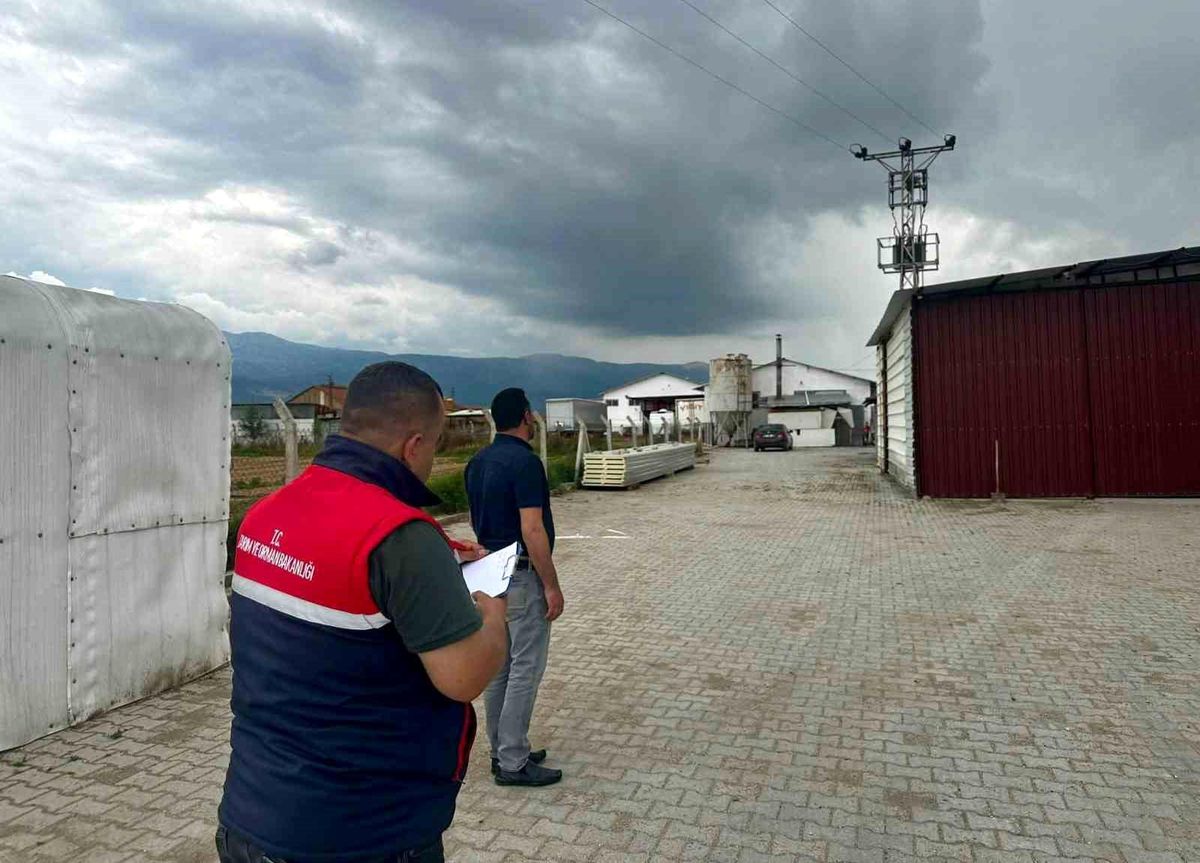 Kanatlı hayvan işletmelerine yönelik denetim