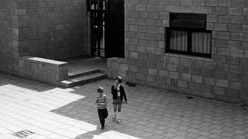 Delft’teki Montessori Okulu Esnek Mekânıyla Öne Çıkıyor