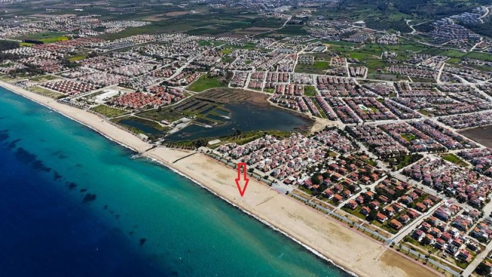 Kuşadası'nda ilk yuva tespit edildi: Koruma altına alındı