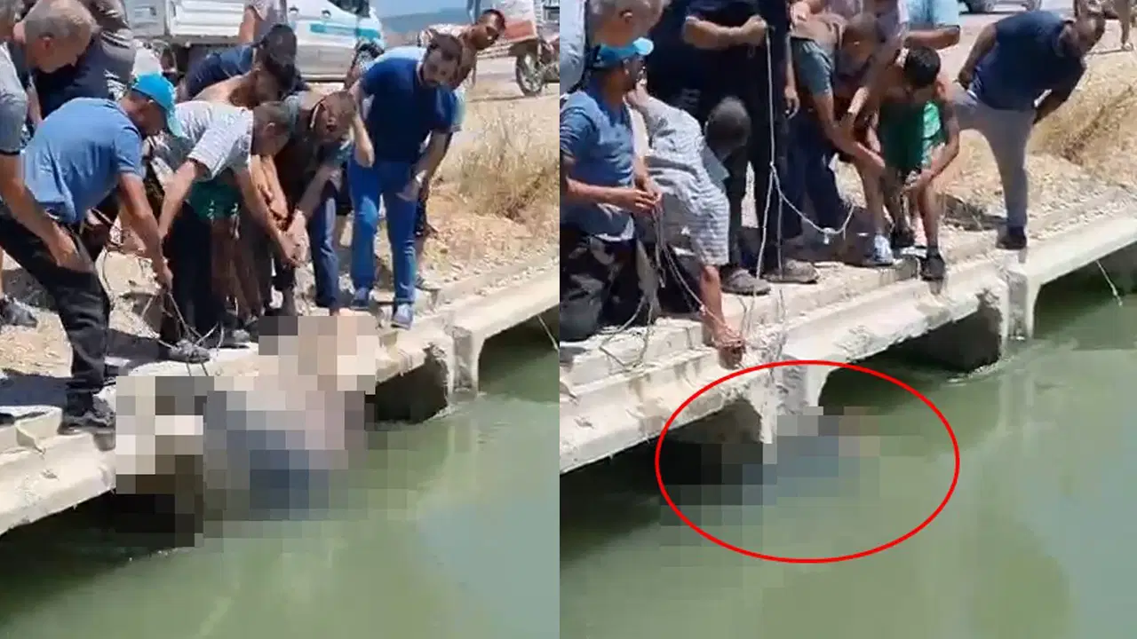 Bursa'da sulama kanalında erkek cesedi bulundu: Kimliği belirlendi