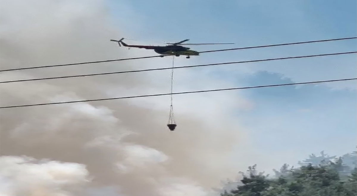 Manisa Soma'da orman yangını!