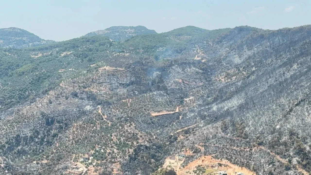 Fethiye'de yeşilden siyaha dönen alan havadan görüntülendi!