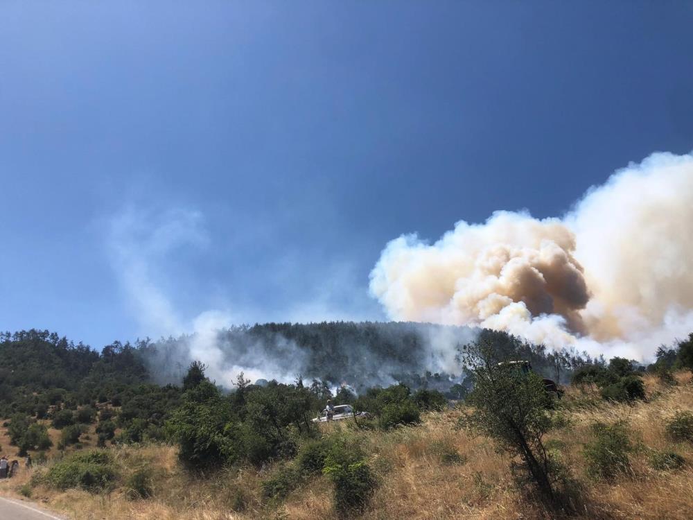 Balıkesir'de orman yangını