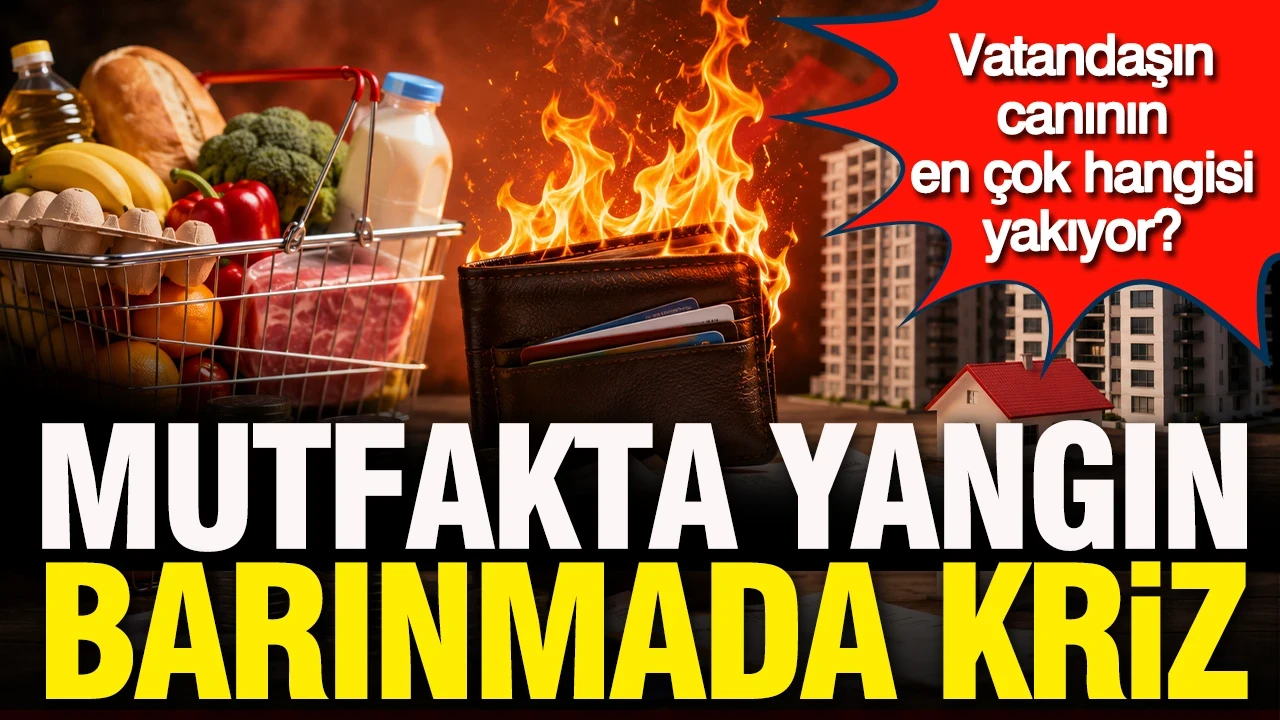 ASAL Araştırma'dan çarpıcı anket: Mutfakta yangın, barınmada kriz