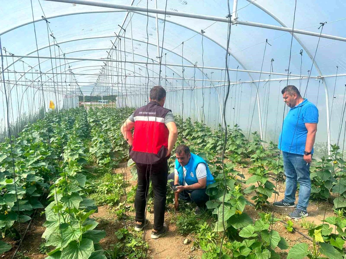 Tavşanlı cezaevi serasında üretim faaliyetleri incelendi
