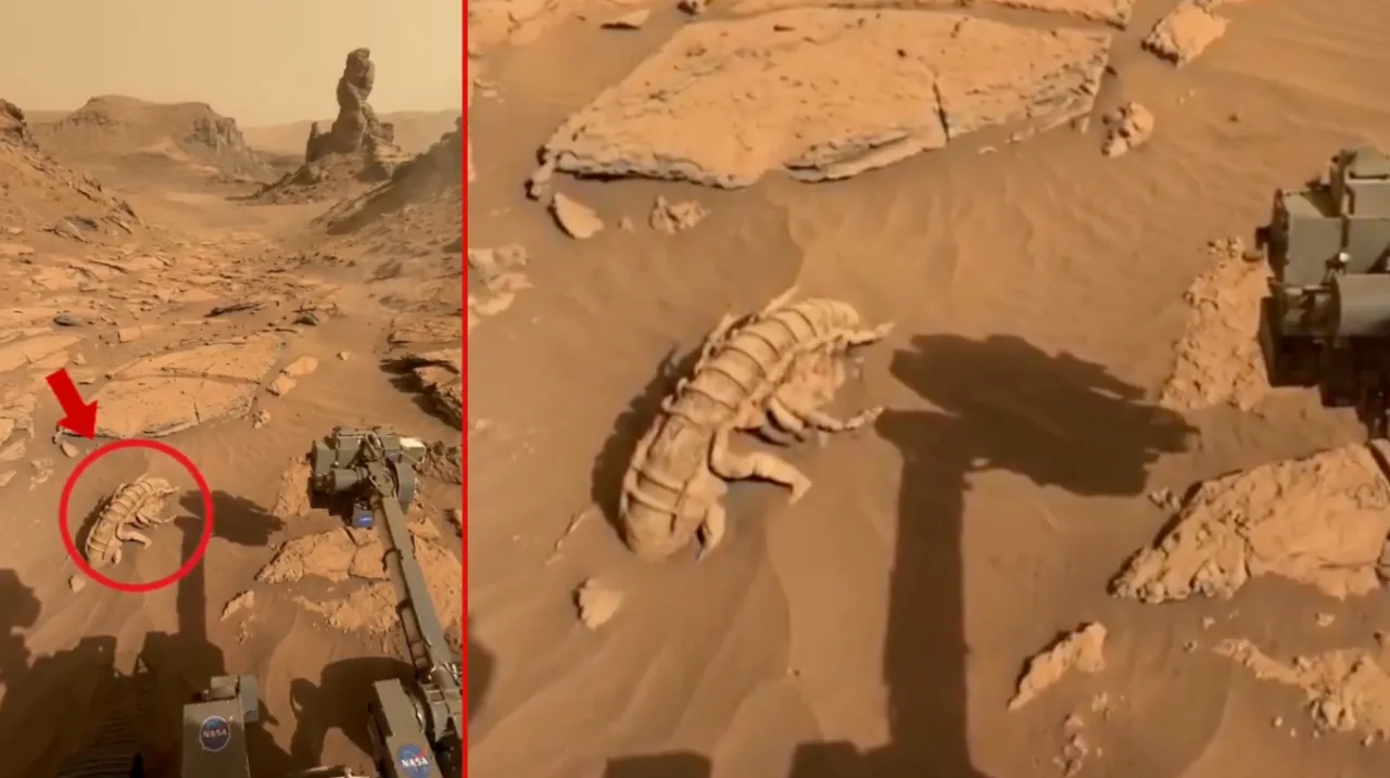 Mars'ta fosil kalıntısı bulunduğu iddiası sosyal medyayı salladı! İşte görüntülerin altında yatan gerçek