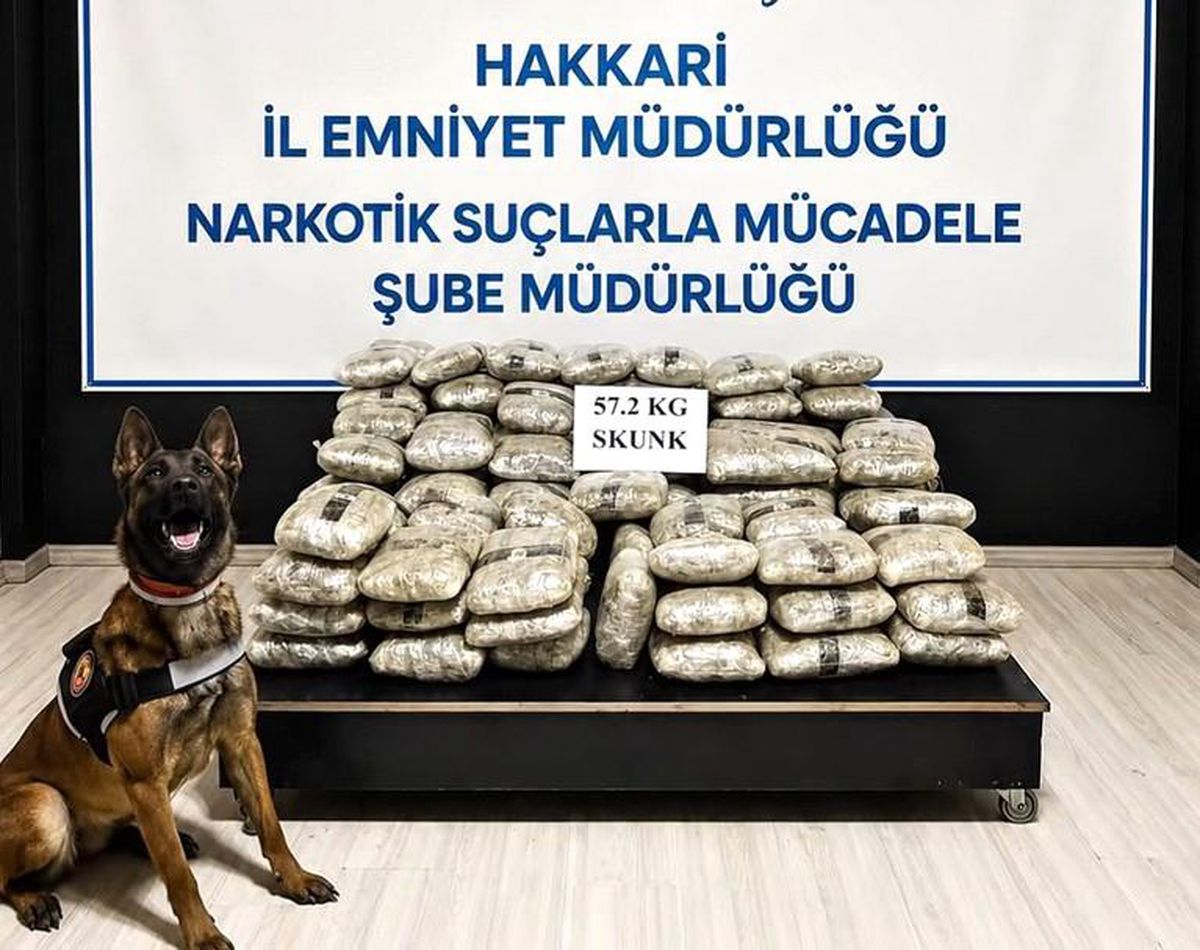 Hakkari'de 57 kilo 200 gram skunk ele geçirildi