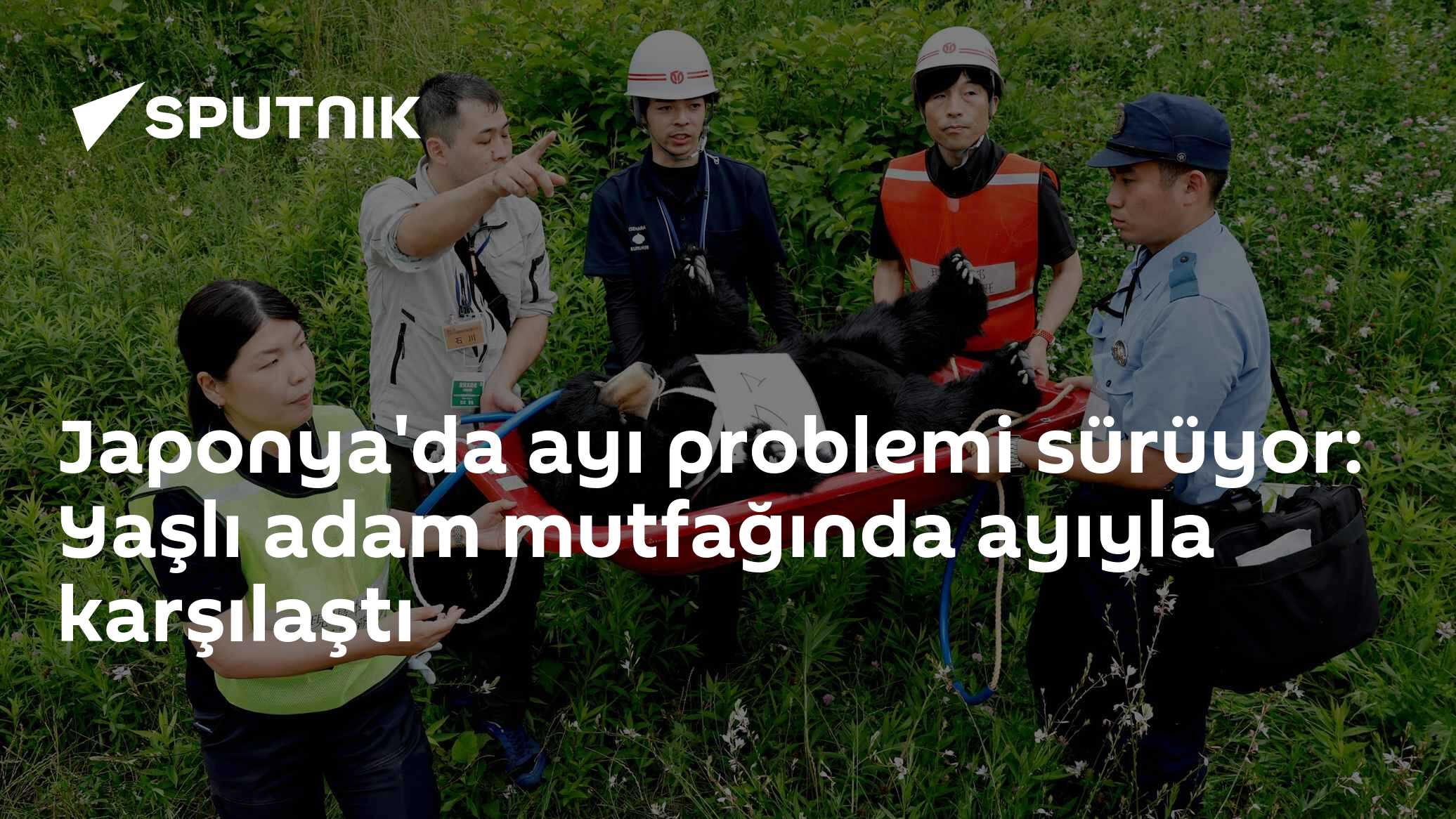 Japonya'da ayı problemi sürüyor: Yaşlı adam mutfağında ayıyla karşılaştı