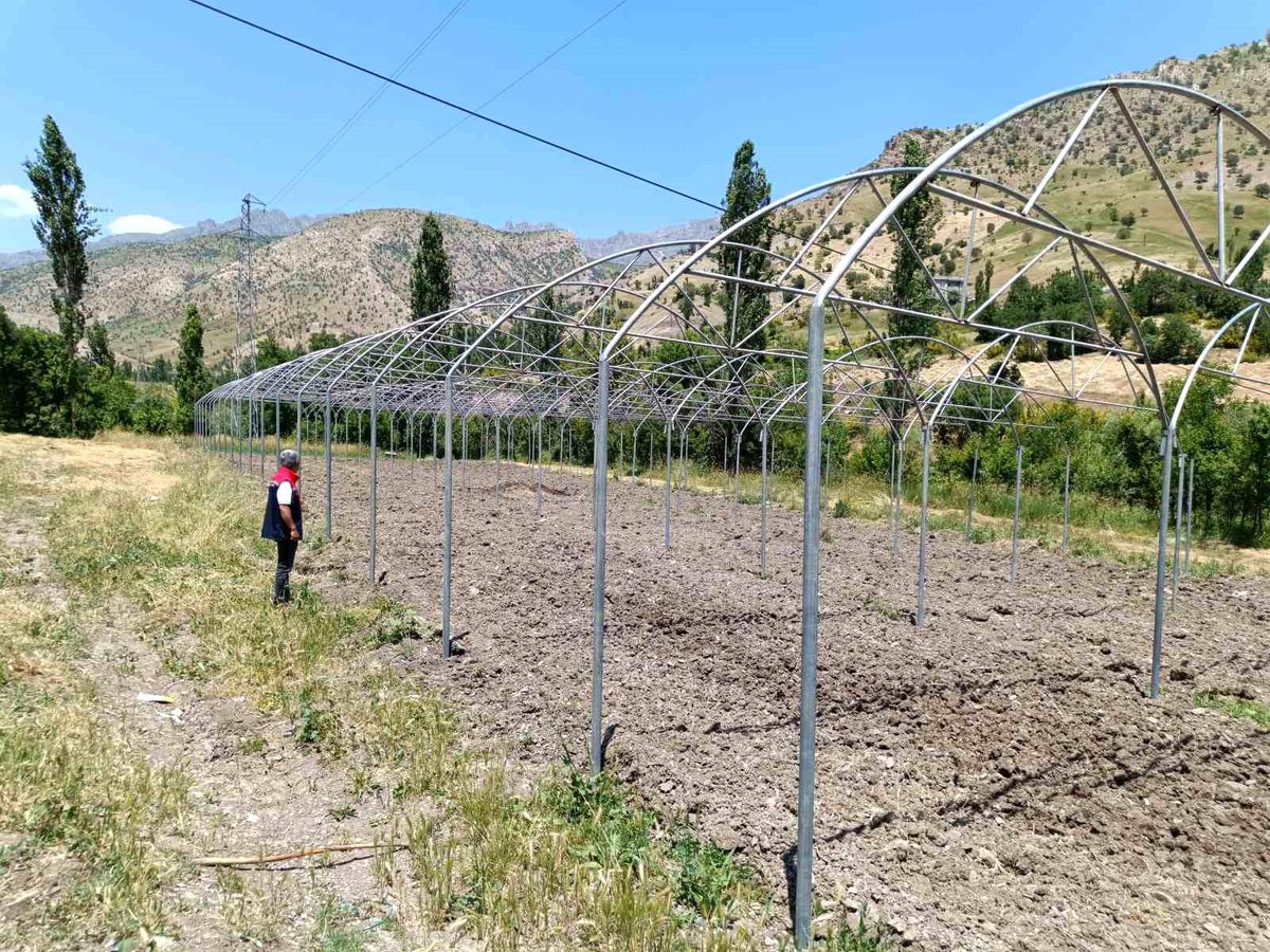 Şırnak'ta sera yatırımları yerinde incelendi