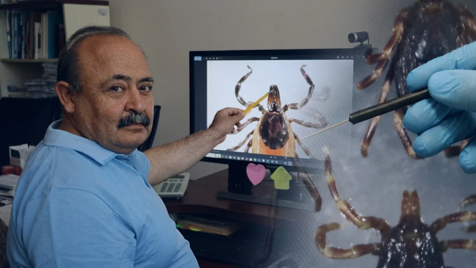 Kırım Kongo Kanamalı Ateşi vakalarında yeni tehlike: Sivas'ta 5 kişi hayatını kaybetti, hastaneye başvuran iki hastada kene izine rastlanmadı | Sağlık Haberleri