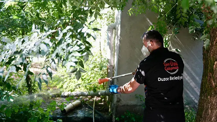 Düzce'de Asya Kaplan sivrisineği uyarısı!