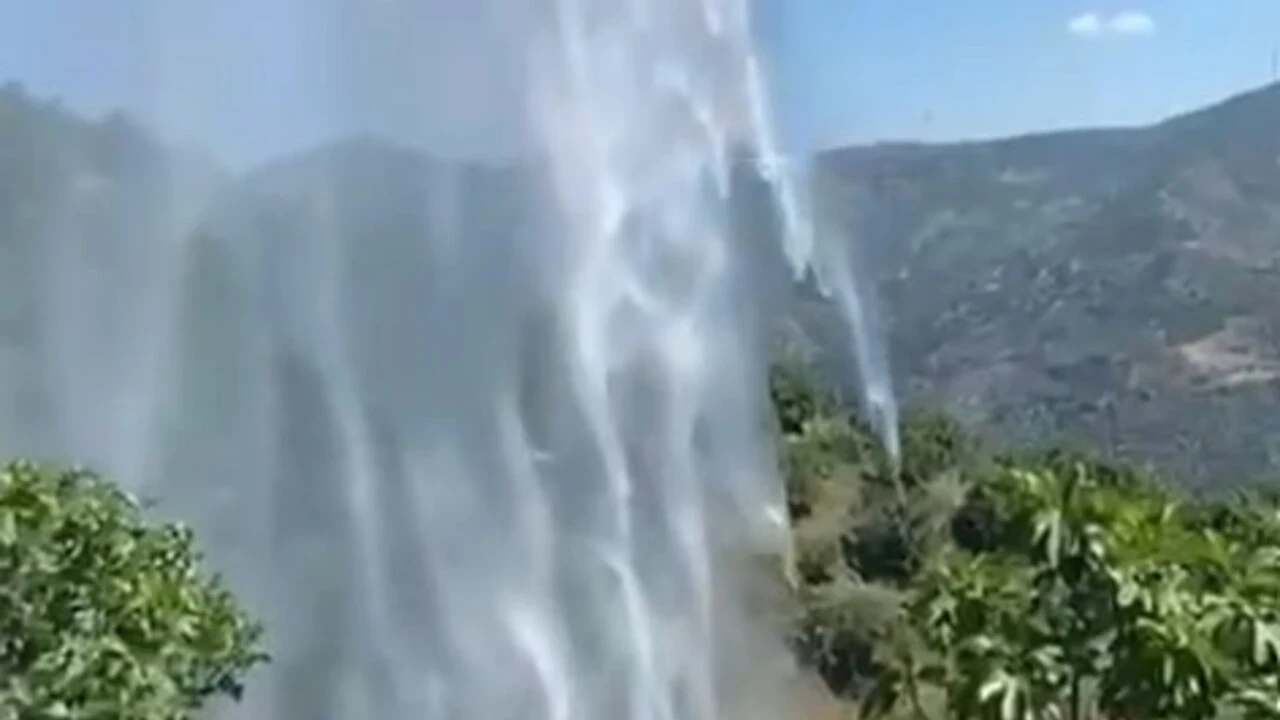 Yemek ısıtmak için ateş yaktı...İncir bahçesi kül oldu