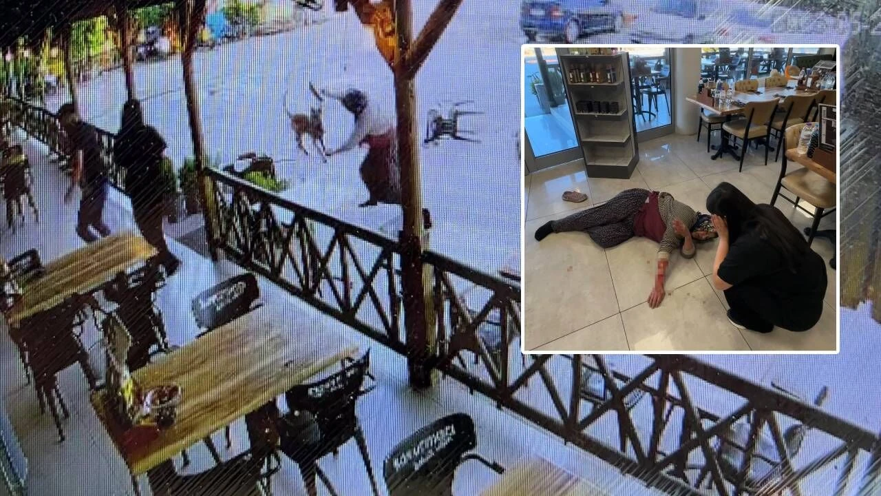 Afyonkarahisar'da dinlenme tesisinde başıboş köpeğin saldırısına uğrayan kadının kolu koptu
