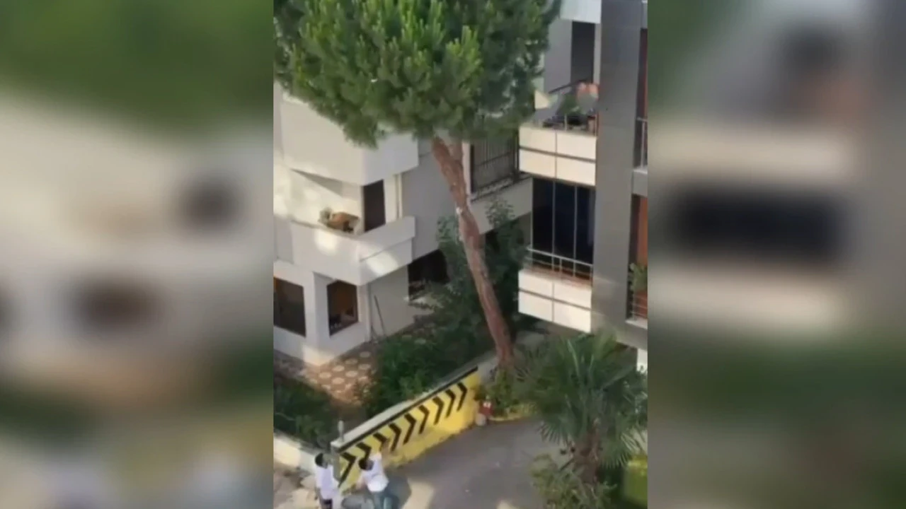 Maltepe haraketli anlar: Çığlık sesleri yükseldi: Kadına şiddet iddiasına taşlı cevap