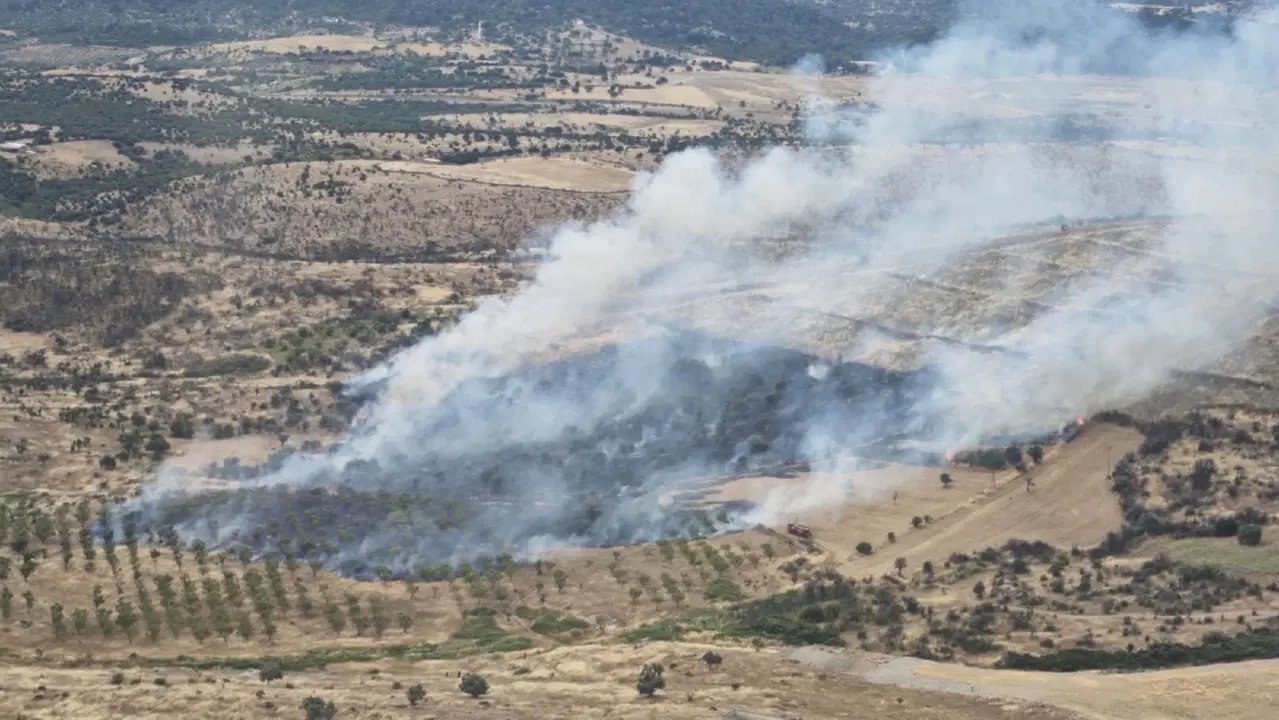 Geniş bir alana yayılmıştı... Çanakkale'de çıkan orman yangını kontrol altında