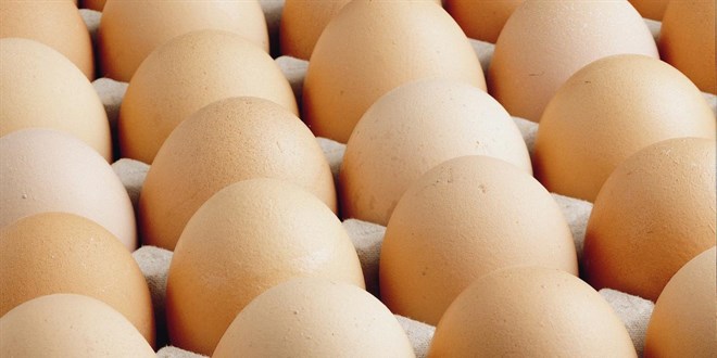 Avrupa'daki kuş gribi Türk yumurtasına talebi artırdı