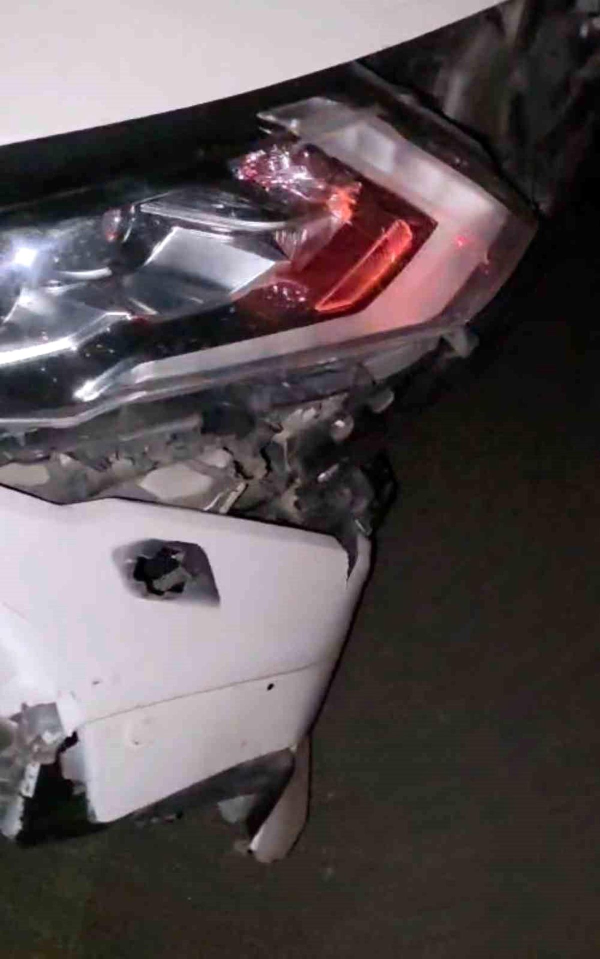 Elazığ'da otomobil domuz sürüsüne çarptı