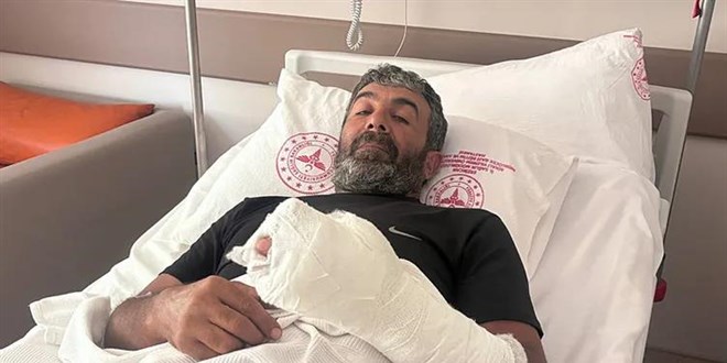 Ayı saldırısından kürekle kurtuldu: Elimi parçaladı