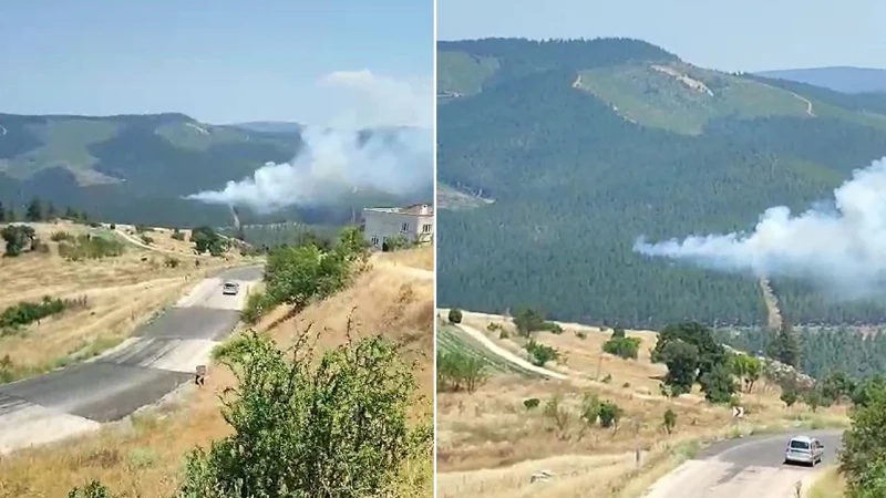 Bursa'da orman yangını