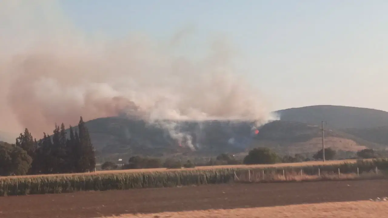 İzmir'in Torbalı ilçesinde orman yangını