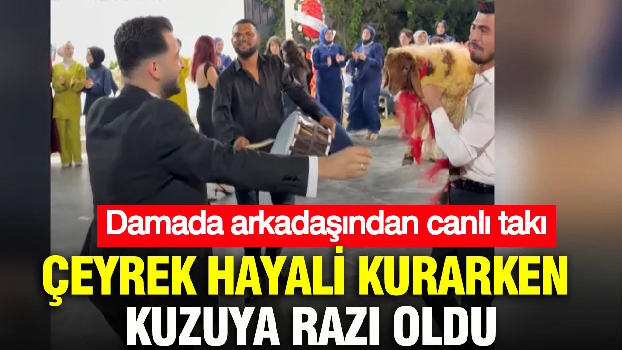 Çeyrek hayali kurarken kuzuya razı oldu: Damada arkadaşından canlı takı