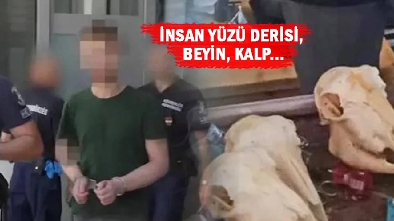 Hastane hademesinin evinde dehşet koleksiyonu! "İnsan parçalarından yemek yapıp yedim"