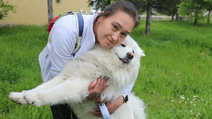 Trafik kazasında ölen 'Gofret' için tazminat kararı! 'Köpeğimi kaybettim ama mücadelem sonuç verdi'