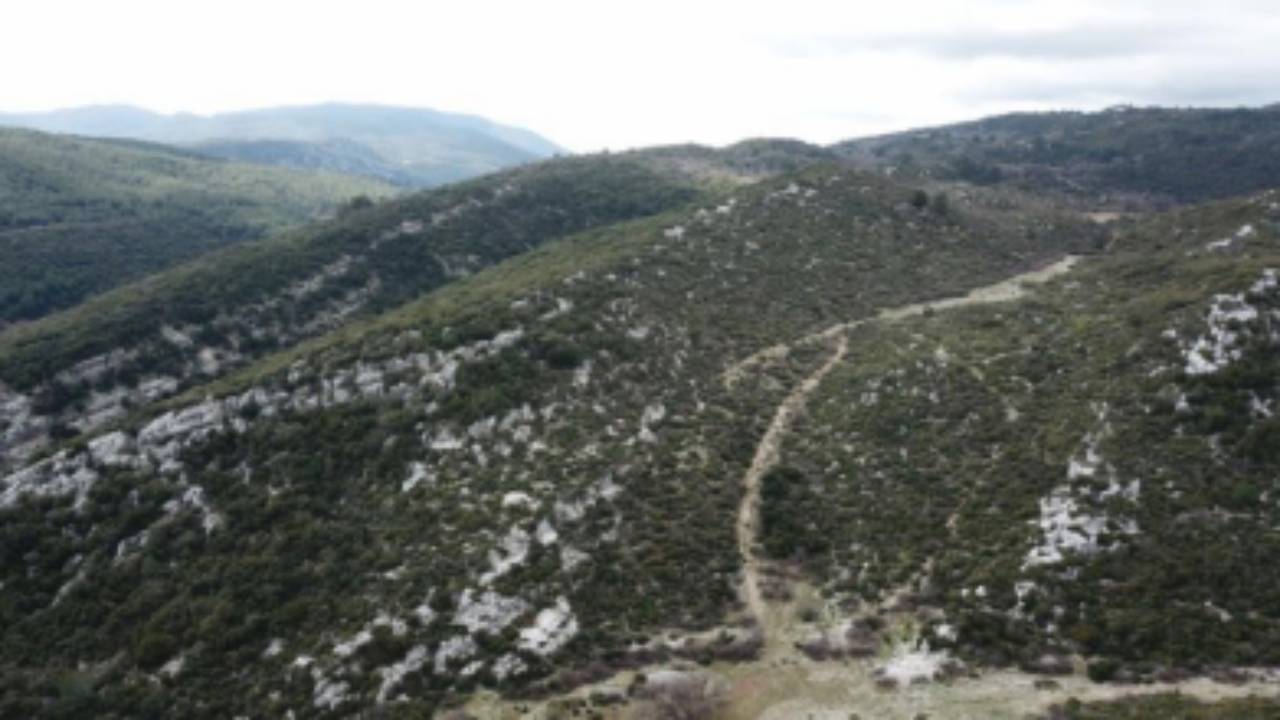 Ormanı talan edip mermer çıkaracak