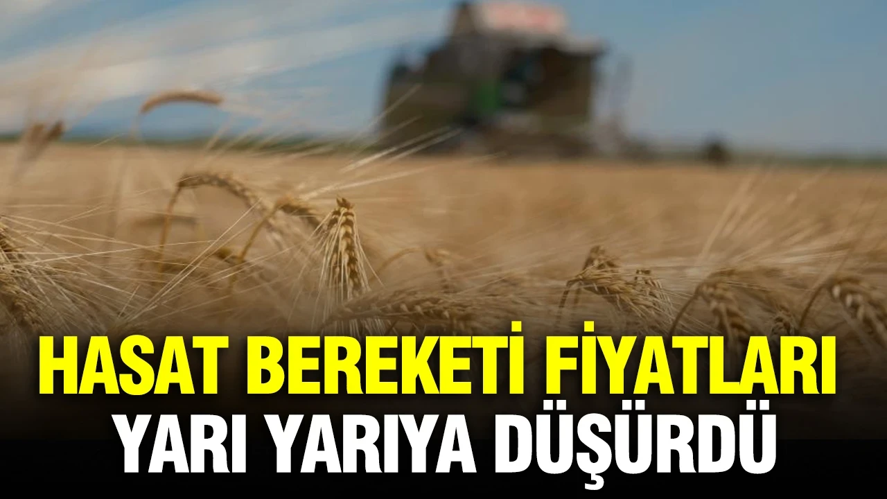 Çiftçilere müjde: Hasat bereketi fiyatları yarı yarıya düşürdü