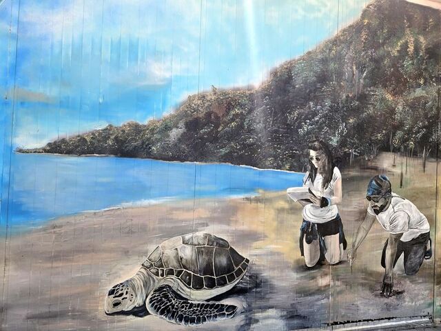 Kızılot'ta nesli tehlike altındaki caretta caretta nöbeti