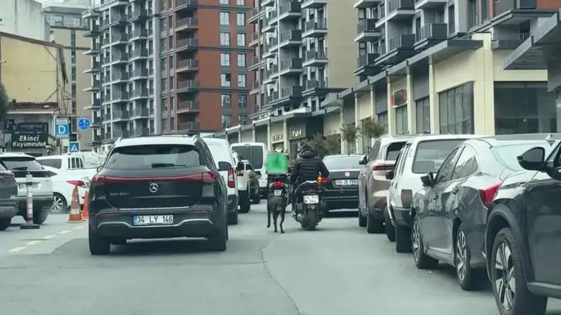 Seyrantepe’de motosiklete bağladığı köpeği metrelerce koşturdu: 8 bin 678 lira ceza kesildi