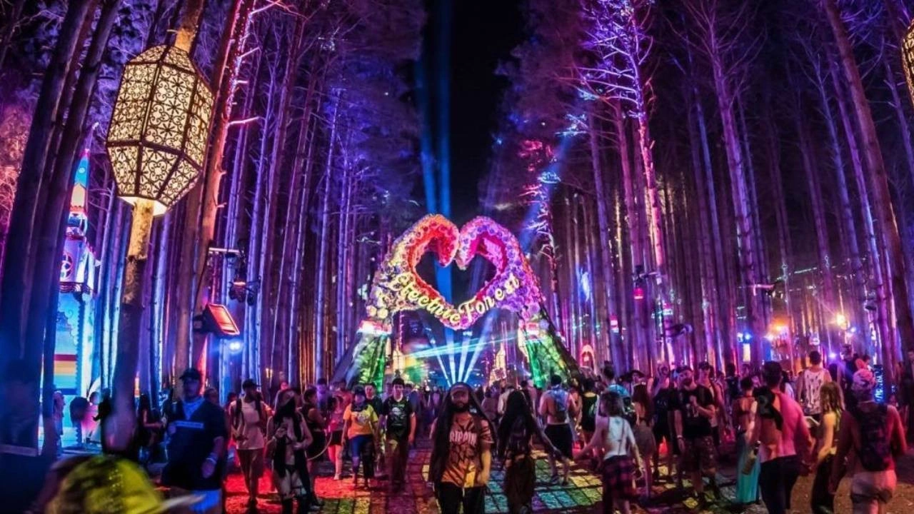 Festivalde dehşet! Seyyar tuvalette yeni doğmuş bebeğin cansız bedeni bulundu