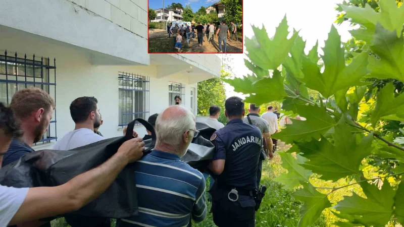 Ihlamur toplamak için çıktığı ağaçtan düşerek hayatını kaybetti