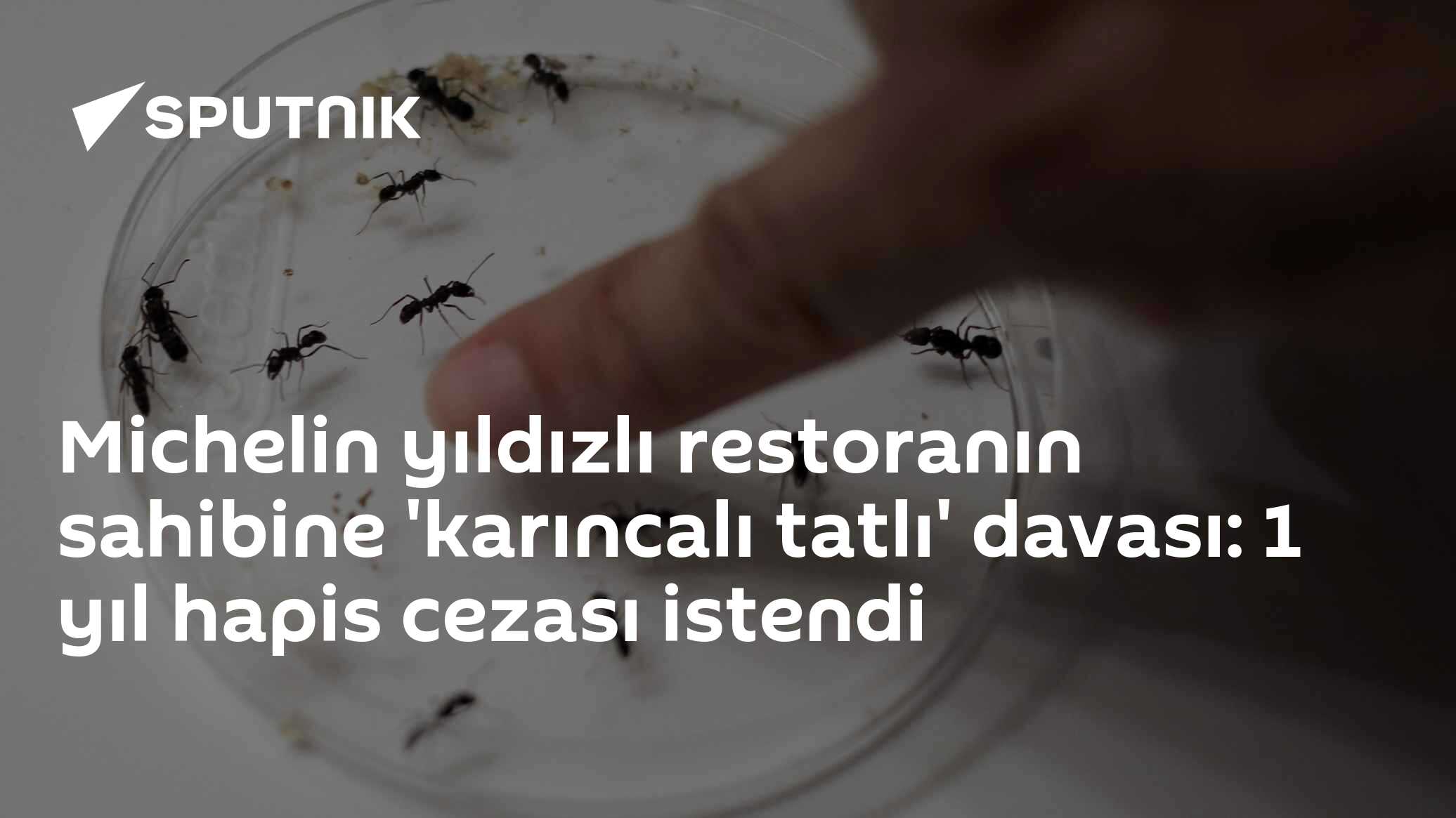 Michelin yıldızlı restoranın sahibine 'karıncalı tatlı' davası: 1 yıl hapis cezası istendi