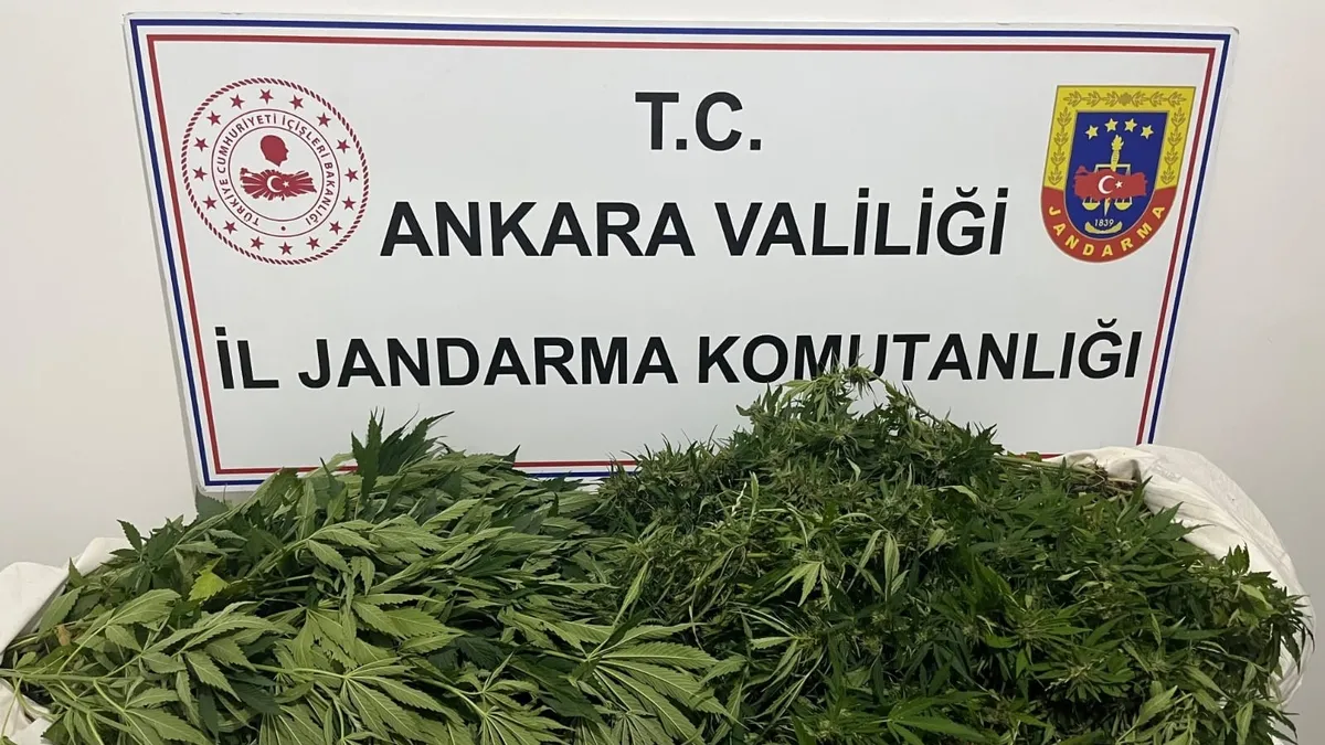 Ankara’da narkotik operasyonu: 150 Kök kenevir ve 50 tohum ele geçirildi!