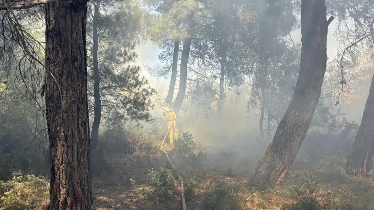 İzmir ve Çanakkale'de alevlerle mücadele! Tarım arazilerinde başlayıp ormana sıçradı