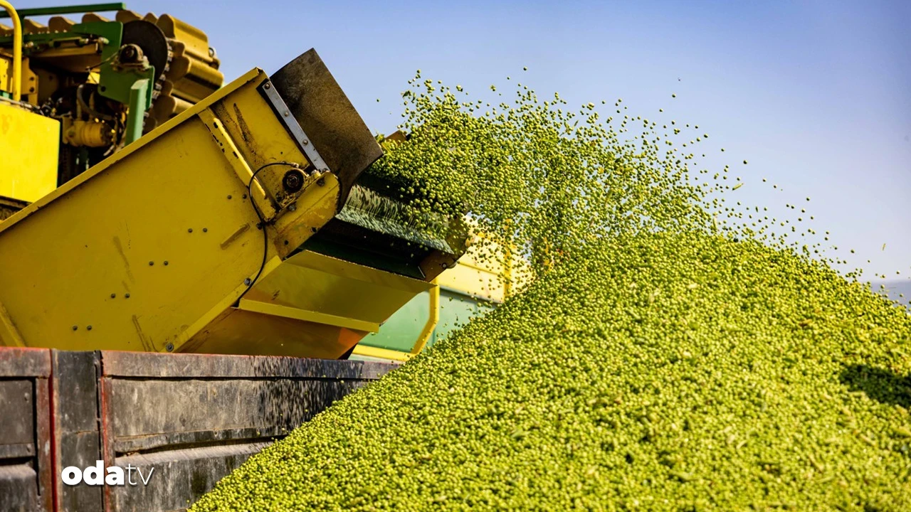 Toprağın bereketi SuperFresh'in 'hasat'ıyla yılın 365 günü sofralarda