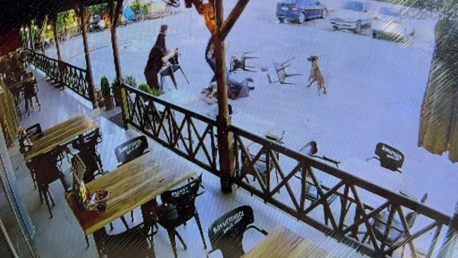 Yer: Afyonkarahisar! Köpek saldırısında kolu koptu