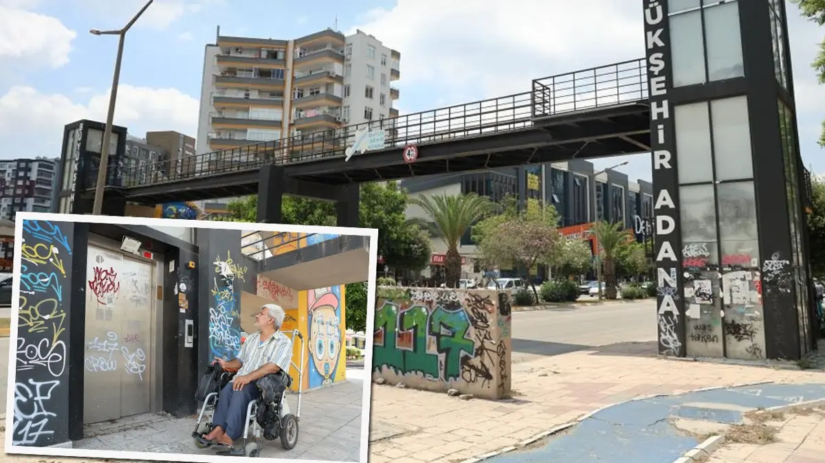 Milli servete kırmızı etiket! CHP'li belediye çürümeye terk etti