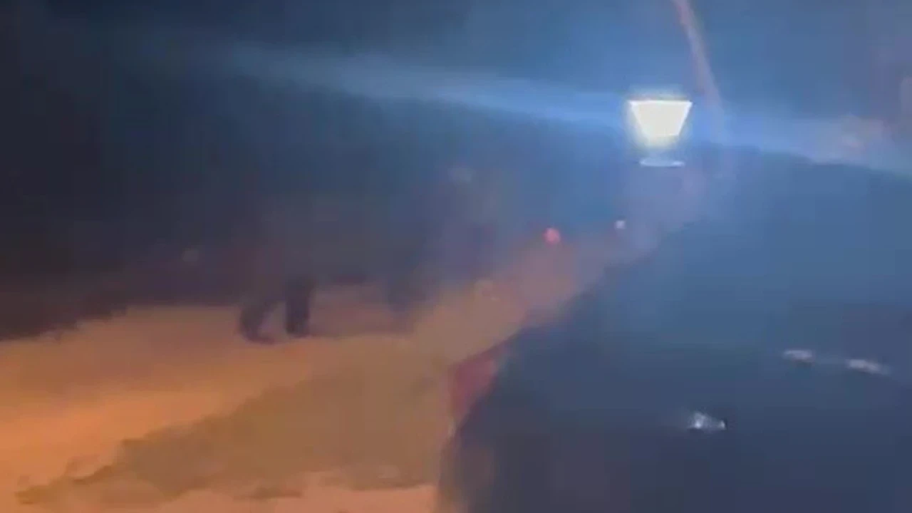 Köye inen ayı köylülere heyecan ve korku yaşattı