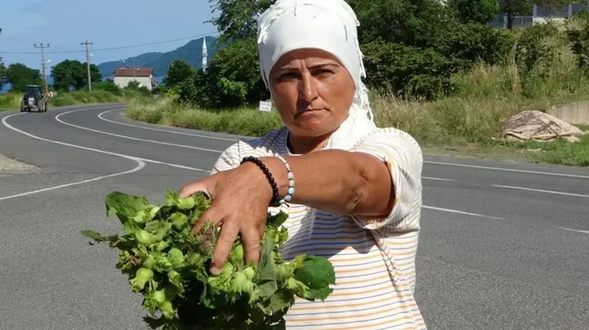 Daha hasat başlamadı ama tezgâhlarda yerini aldı! Kilosu 200 liradan satılıyor