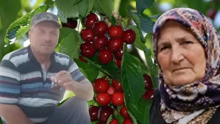 Kiraz yedikten sonra rahatsızlanarak hayatını kaybeden kişinin eşi de tedavi gördüğü hastanede öldü