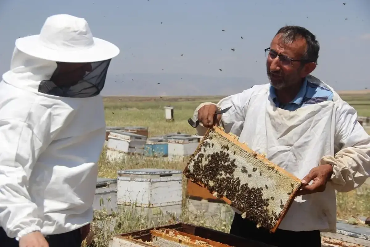 50 yıl önce keşfedilen o dağdan şifa fışkırıyor! Aynı aile 3 kuşaktır aynı işi yapıyor: Laboratuvar sonuçları şoke etti, tamamen şekersiz