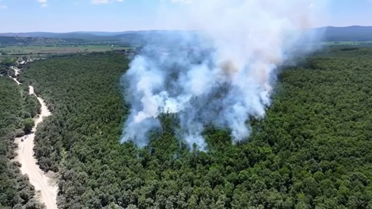 Çatalca'da korkutan yangın! Helikopterle müdahale edildi