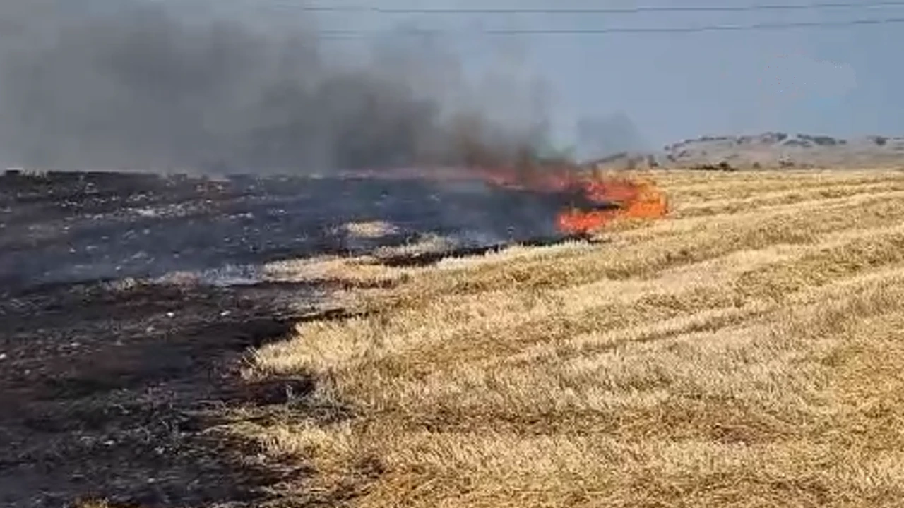 Bandırma'da yangın tarım arazilerine sıçradı