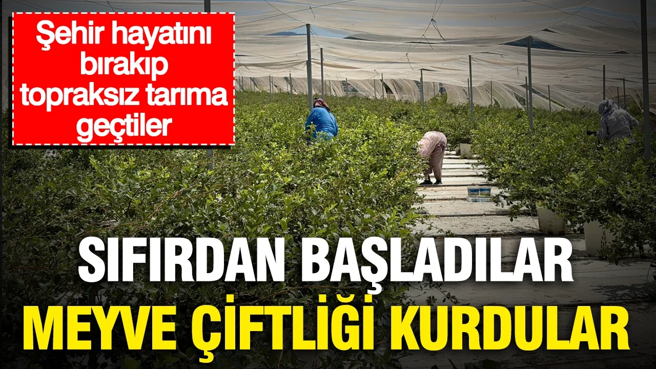 Sıfırdan başladılar, meyve çiftliği kurdular: Şehir hayatını bırakıp topraksız tarıma geçtiler