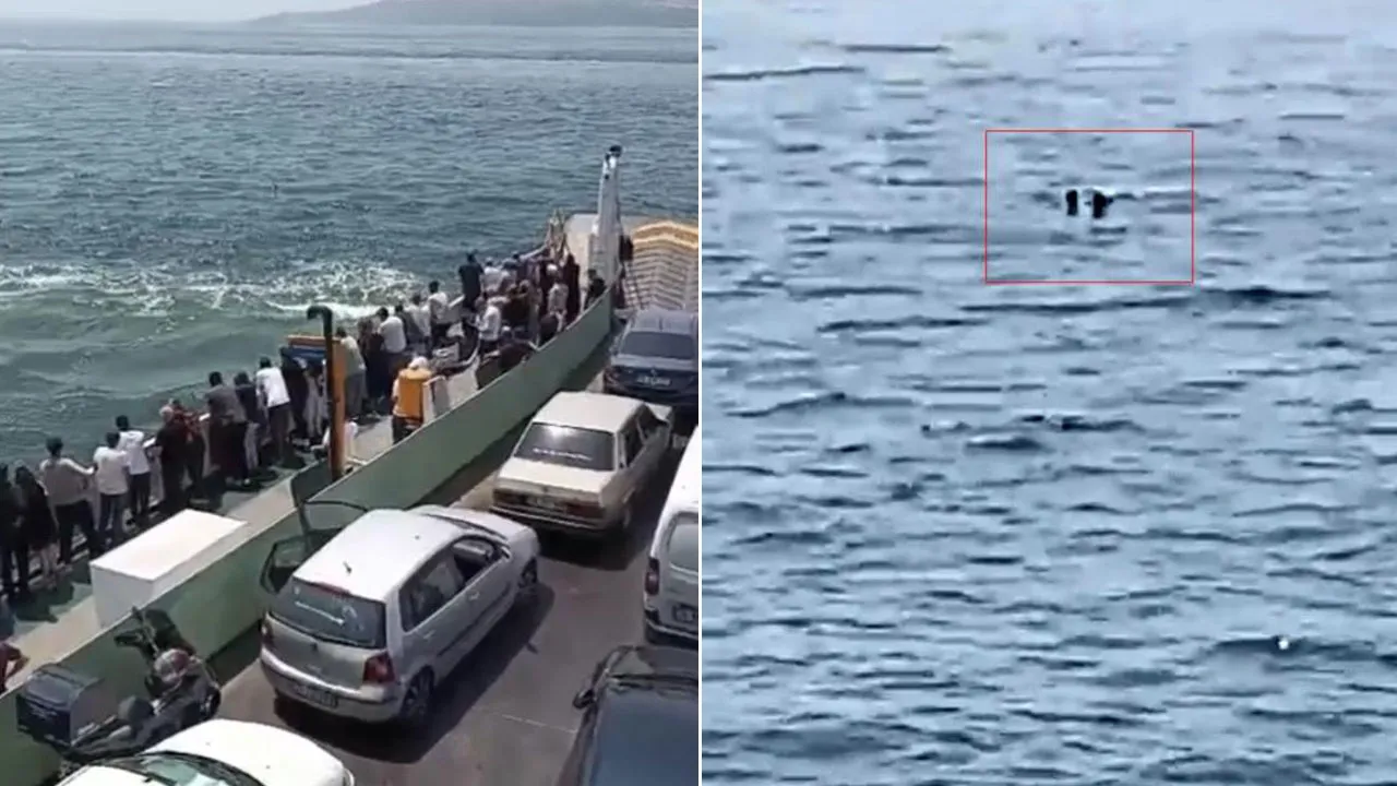 Eskihisar açıklarında korku dolu anlar! Feribottan düşen yolcuya büfe çalışanı kurtardı