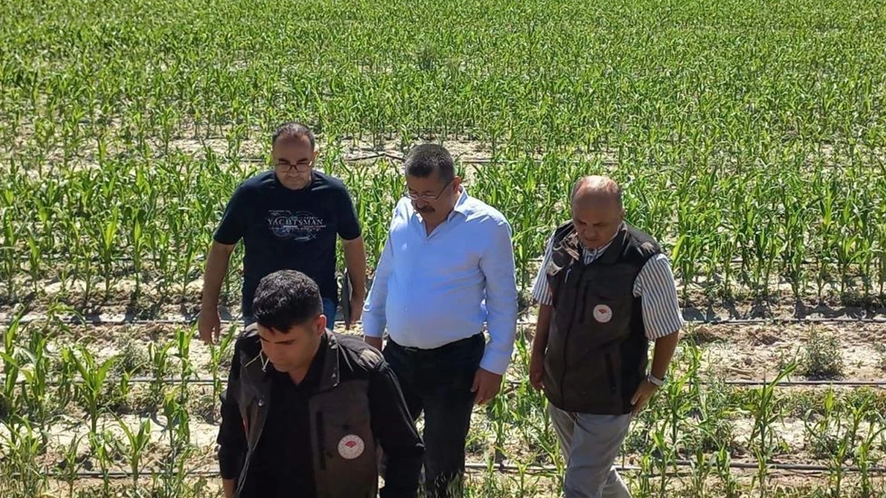 Karapınar'da dolunun vurduğu ekili arazilerde hasar tespiti başladı